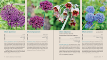 Perennials for the Pacific Northwest: A Comprehensive Guide (Essential Perennials) by Clausen & Christopher