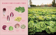 Radicchio: A Celebration of the Beloved Italian Vegetable By Selman