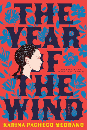 The Year of the Wind: A Novel cover image