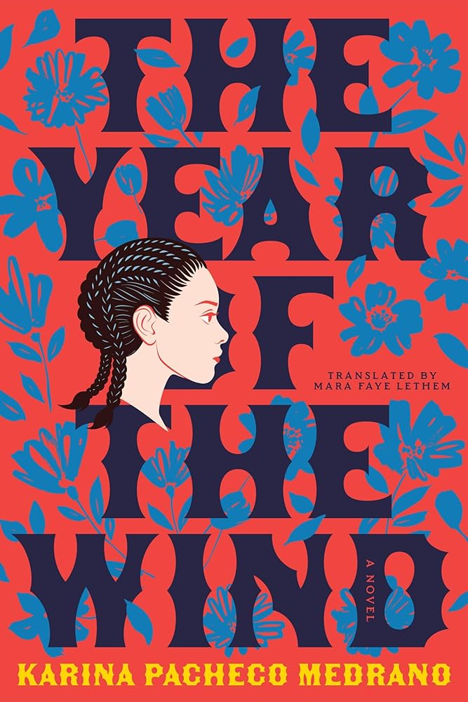 The Year of the Wind: A Novel cover image