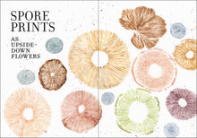 The Wonder of Mushrooms: The Mysterious World of Fungi by Zeller