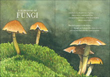 The Wonder of Mushrooms: The Mysterious World of Fungi by Zeller
