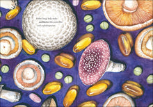 The Wonder of Mushrooms: The Mysterious World of Fungi by Zeller