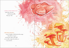 The Wonder of Mushrooms: The Mysterious World of Fungi by Zeller