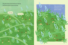 Bog Buddies (Tiny Habitats) by Hevron