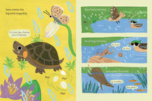 Bog Buddies (Tiny Habitats) by Hevron