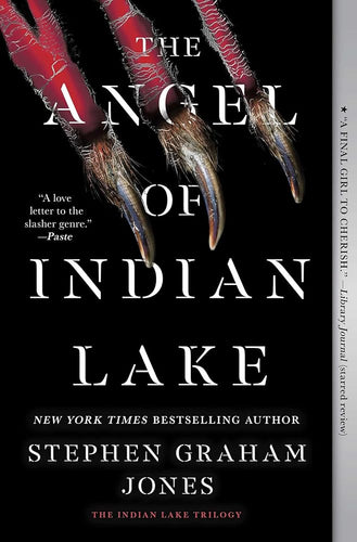 The Angel of Indian Lake (3) (The Indian Lake Trilogy) cover image