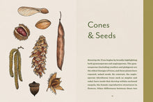 Knowing the Trees: Discover the Forest from Seed to Snag by  Keffer