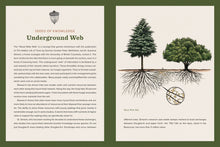 Knowing the Trees: Discover the Forest from Seed to Snag by  Keffer