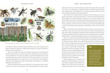 The Naturalist at Home: Projects for Discovering the Hidden World Around Us By Brenner