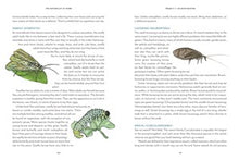 The Naturalist at Home: Projects for Discovering the Hidden World Around Us By Brenner