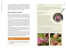 Medicinal Plants of the Pacific Northwest: A Visual Guide to Harvesting and Healing with 35 Common Species Hammerquist