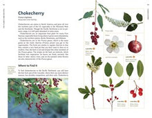 Edible Plants of the Pacific Northwest: A Visual Guide to Harvesting and Cooking with 40 Common Species By Hammerquist