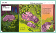 Pygmy Hippo (Young Zoologist): A First Field Guide to Moo Deng and Friends, Dr. Fiona Sach, Neon Squid, Lisa Maria