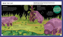 Pygmy Hippo (Young Zoologist): A First Field Guide to Moo Deng and Friends, Dr. Fiona Sach, Neon Squid, Lisa Maria