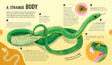 Spectacular Snakes (Explore Your World: Spotlight Series) By Flannery