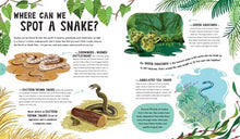 Spectacular Snakes (Explore Your World: Spotlight Series) By Flannery