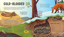 Spectacular Snakes (Explore Your World: Spotlight Series) By Flannery