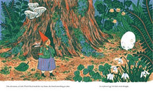 Little Witch Hazel - Gift Edition: A Year in the Forest By Wahl
