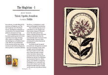 You Will Be Able to Read Tarot by the End of This Book by Rallis & Reed