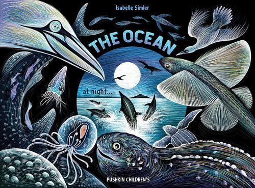 The Ocean at Night (Nature at Night) cover image