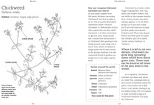 Foraging with Kids: 52 Wild and Free Edibles to Enjoy With Your Children by  Nozedar