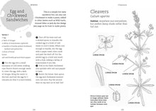 Foraging with Kids: 52 Wild and Free Edibles to Enjoy With Your Children by  Nozedar