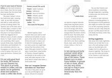 Foraging with Kids: 52 Wild and Free Edibles to Enjoy With Your Children by  Nozedar