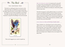 The Little Witch's Oracle Deck: Symbols, Spells, and Rituals for the Young Witch by Kusby and Baumert