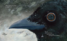 I Am We: How Crows Come Together to Survive by Booth (Releases 9/9/25)