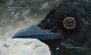 I Am We: How Crows Come Together to Survive by Booth (Releases 9/9/25)