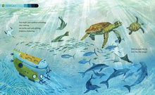 If You Went to the Bottom of the Ocean by McIntyre