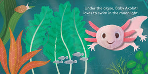 Baby Axolotl: Finger Puppet Book by Huang