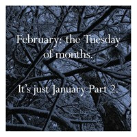 Disappointing Affirmations 2027 Wall Calendar By Tarnowski
