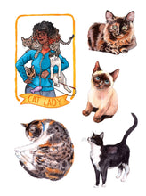 The Cat's Meow Sticker Book: 100+ Stickers of Fluffy, Feisty, and Fabulous Felines by Kott