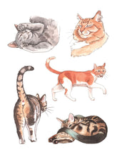 The Cat's Meow Sticker Book: 100+ Stickers of Fluffy, Feisty, and Fabulous Felines by Kott