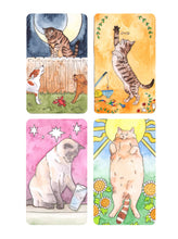The Cat's Meow Sticker Book: 100+ Stickers of Fluffy, Feisty, and Fabulous Felines by Kott