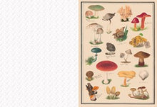 The Collage Compendium: 2,000 Images to Cut Out & Collage By Roomytown