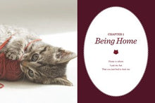 Cancel Your Plans: Cozy Poems by Cats (I Could Pee on This Series) by Marciuliano