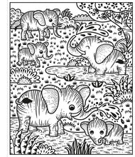 Zoo Magic Painting Book by Taplin