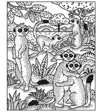 Animals Magic Painting Book by Taplin