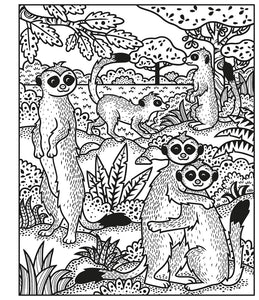 Animals Magic Painting Book by Taplin