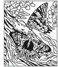 Butterflies Magic Painting Book (Magic Painting Books)