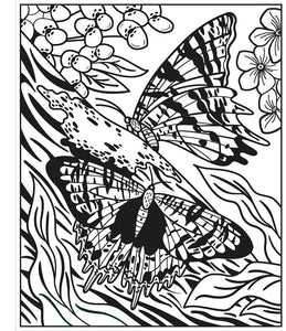 Butterflies Magic Painting Book (Magic Painting Books)