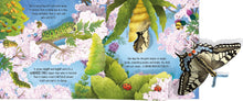 Pop-Up Butterflies (Pop-Ups)