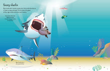 First Sticker Book Sharks and Rays: An Exciting Sticker Activity Book Exploring The Fascinating World Of Sharks And Rays With Over 100 Stickers And Fun Facts For Kids Ages 5-12