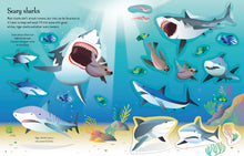 First Sticker Book Sharks and Rays: An Exciting Sticker Activity Book Exploring The Fascinating World Of Sharks And Rays With Over 100 Stickers And Fun Facts For Kids Ages 5-12