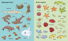 First Sticker Book Under the Sea: An Underwater Sticker Activity Book Showcasing Fun Facts about Marine Life