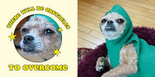 The Dog Oracle: Answers to All Life's Questions from Spud the Cryptid By Eequay