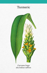 A Cabinet Full of Medicinal Plants: A Practical Card Deck